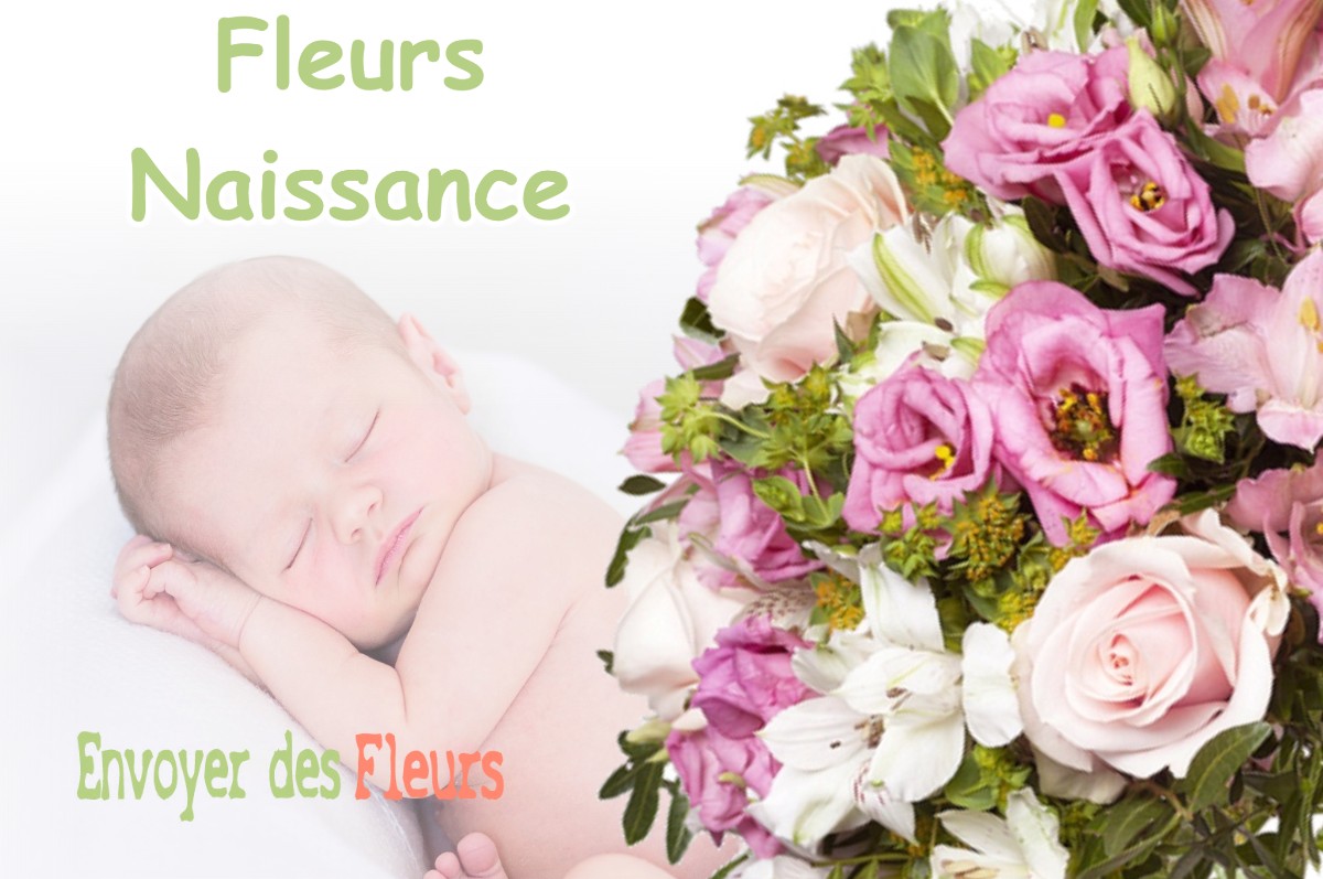 lIVRAISON FLEURS NAISSANCE à MONTOULIEU-SAINT-BERNARD